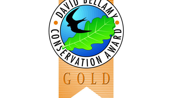 David Bellamy Award