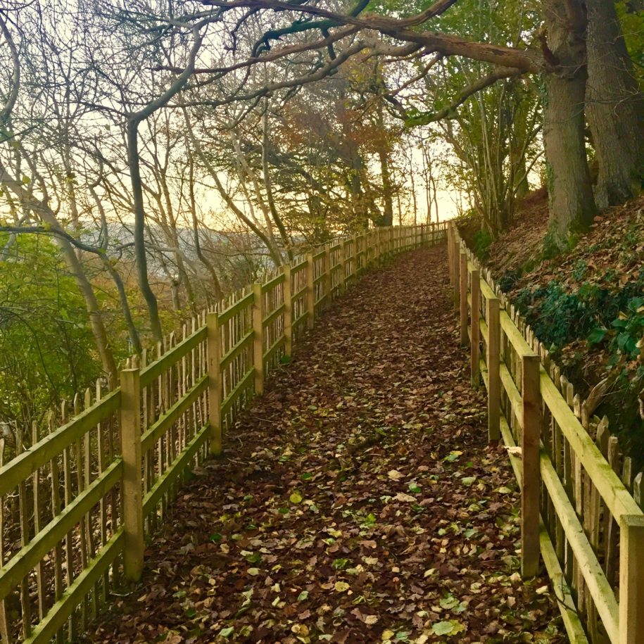 Who doesn't love an autumnal stroll through the woods ? Who doesn't love an autumnal stroll through the woods ?