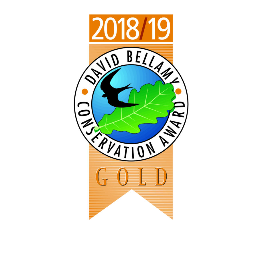 David Bellamy Gold Award