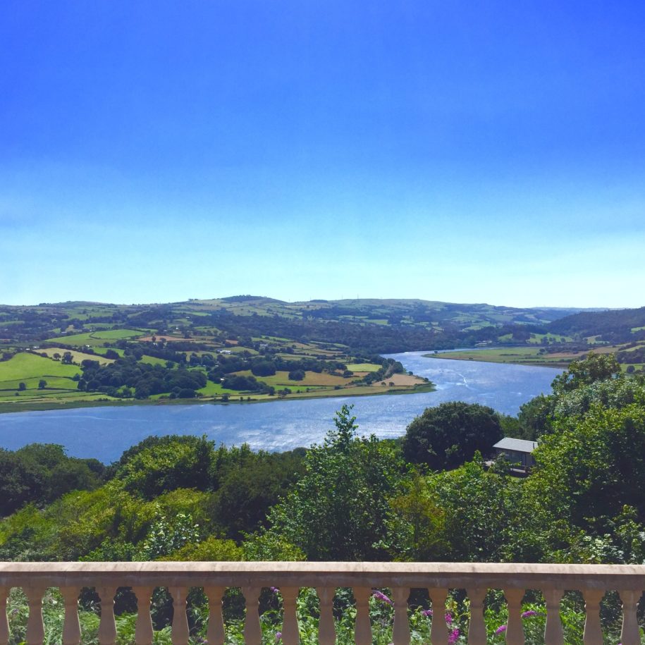Another fabulous day at Gorse Hill. Another fabulous day at Gorse Hill.